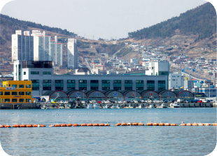 여수수산물 특화시장과 그 앞 바다 위에 안전부표가 떠있는 남산동 물양장 시설 사진